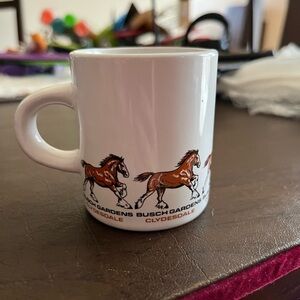 BUSCH GARDENS ACCESSORY